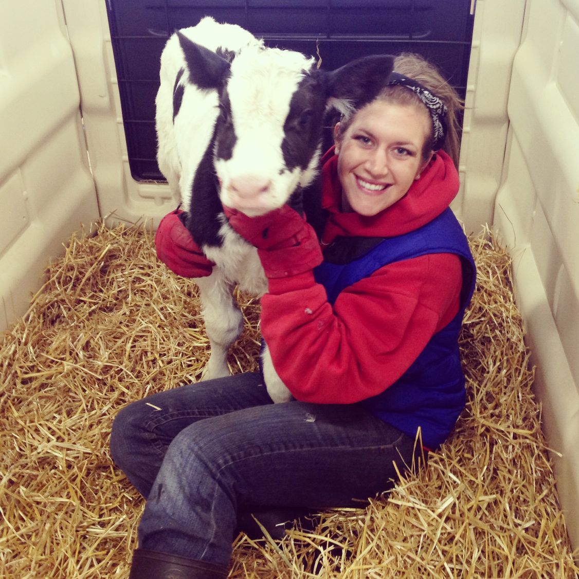 Loving on calves